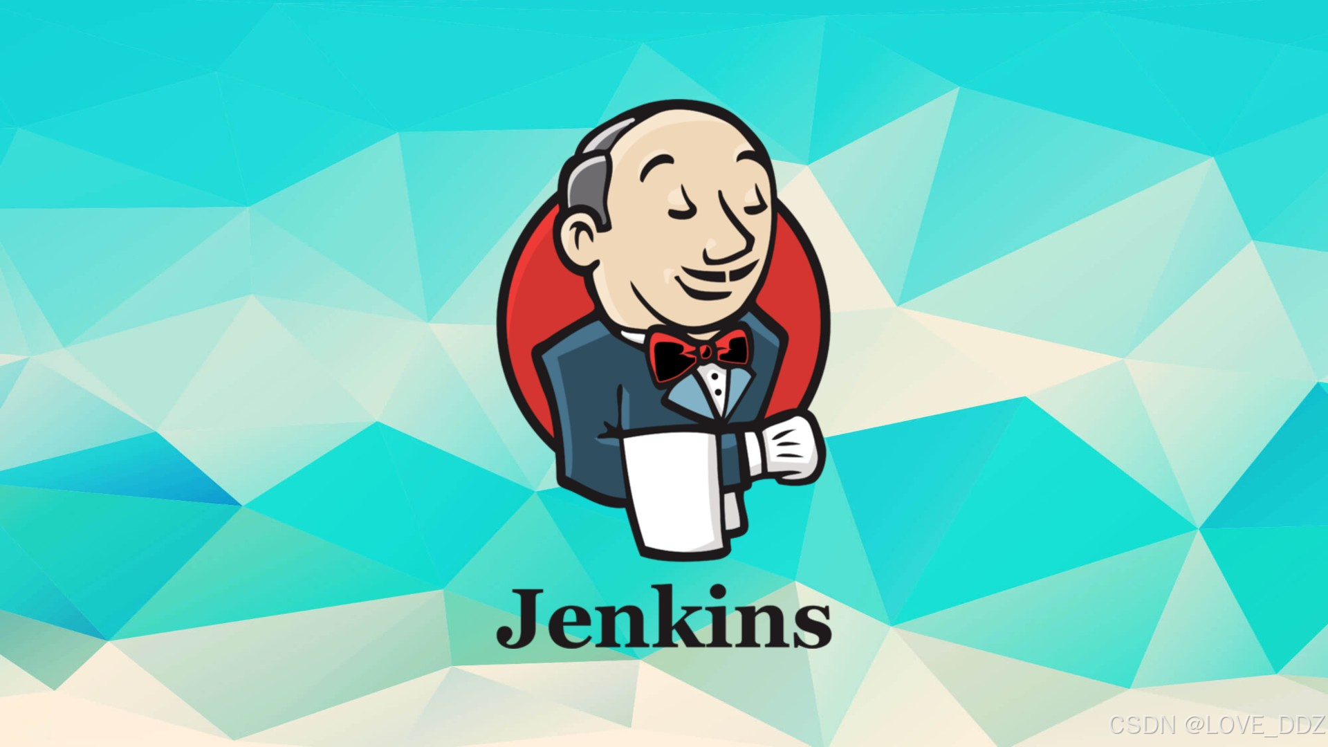 Jenkins封面